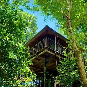 https://cairns-reef-rainforest-bb.cairnshotels4all.com